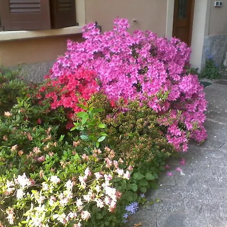 アパート Casa Margherita *