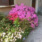 Διαμέρισμα Casa Margherita *